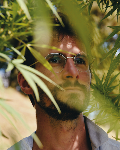 Jeune homme dans un champ de chanvre CBD