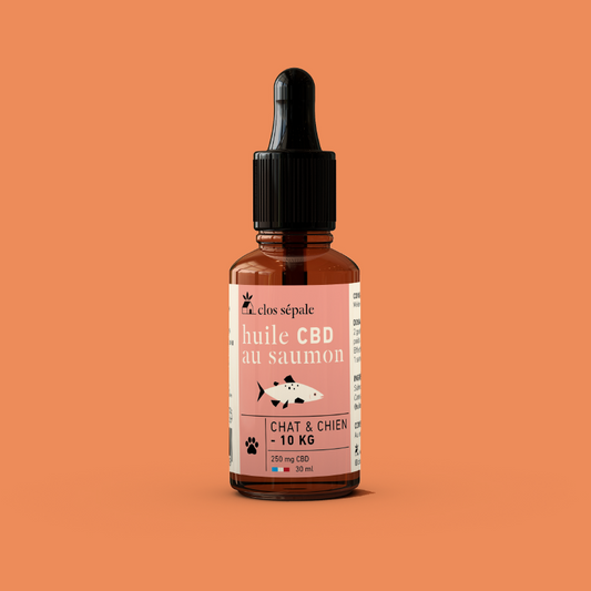 Huile de CBD bio pour les chats et les petits chiens