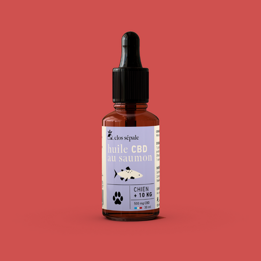 Huile de CBD bio pour les chiens