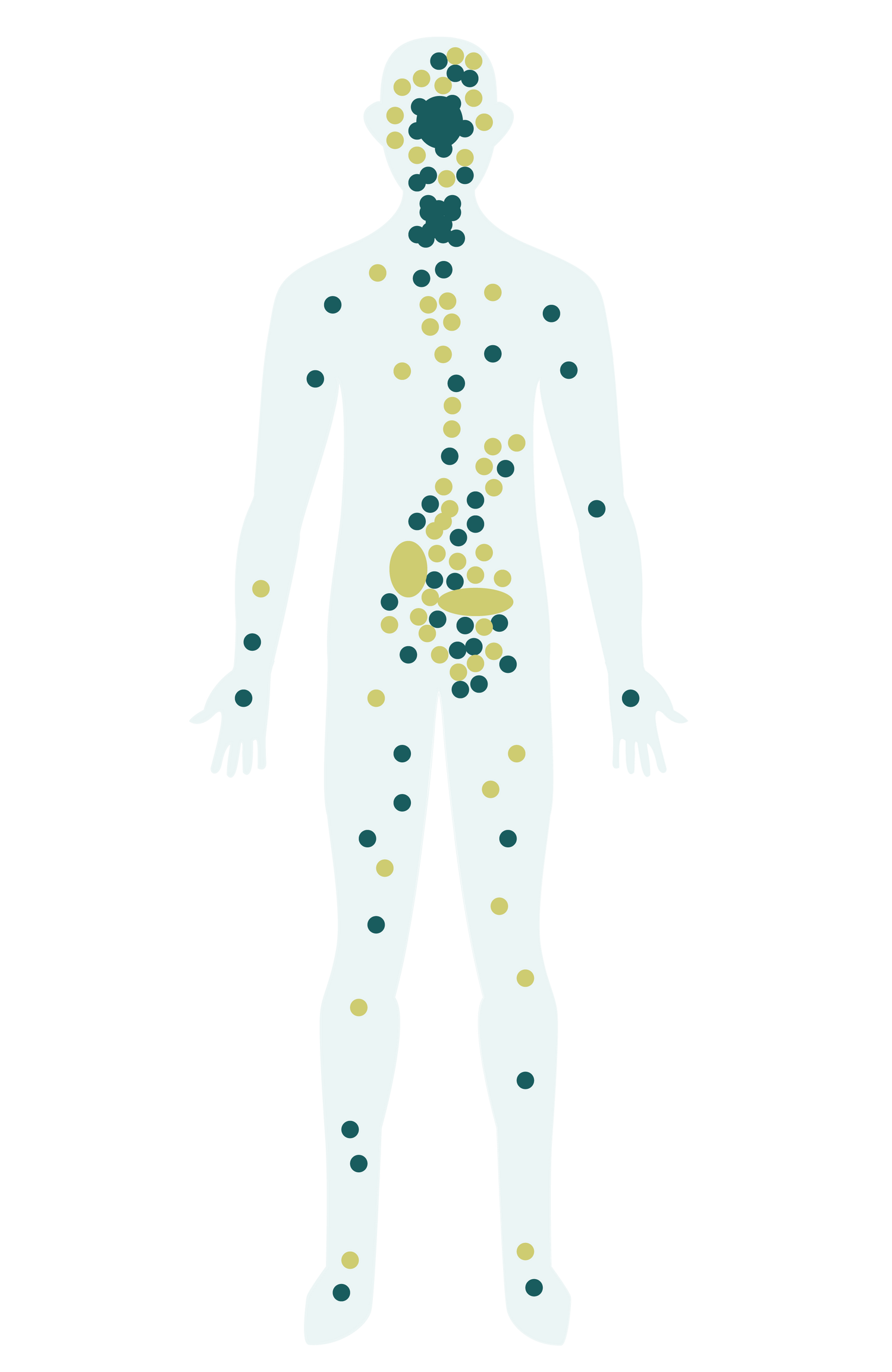 Dessin des récepteurs du système endocannabinoïde humain sensible au CBD