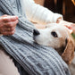 Vieux chien de taille moyenne souffrant d'arthrose